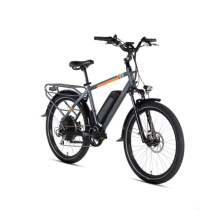 Vélo électrique de ville de gros OEM/ODM avec batterie au lithium Hailong